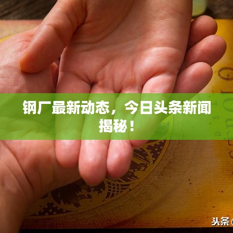 钢厂最新动态，今日头条新闻揭秘！