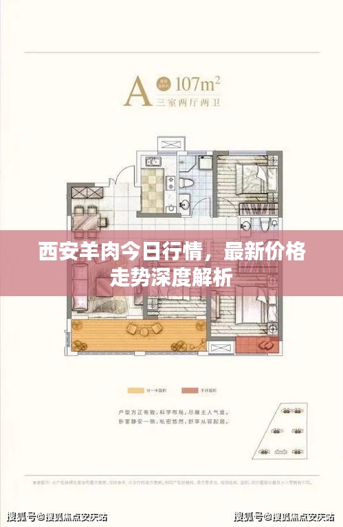 西安羊肉今日行情，最新价格走势深度解析