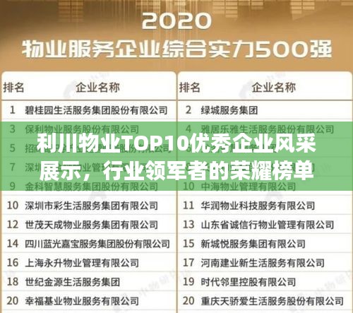 利川物业TOP10优秀企业风采展示，行业领军者的荣耀榜单