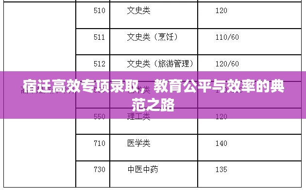 宿迁高效专项录取，教育公平与效率的典范之路