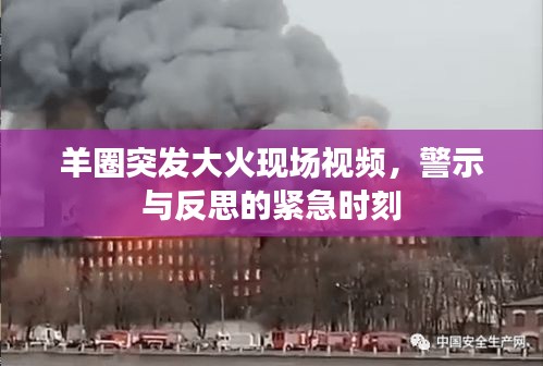 羊圈突发大火现场视频，警示与反思的紧急时刻