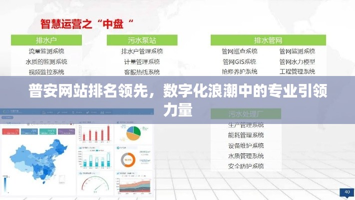 普安网站排名领先，数字化浪潮中的专业引领力量