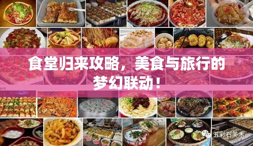 食堂归来攻略，美食与旅行的梦幻联动！