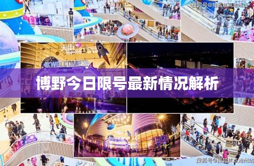 博野今日限号最新情况解析