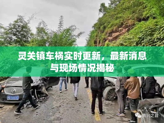 灵关镇车祸实时更新，最新消息与现场情况揭秘