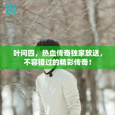 叶问四，热血传奇独家放送，不容错过的精彩传奇！