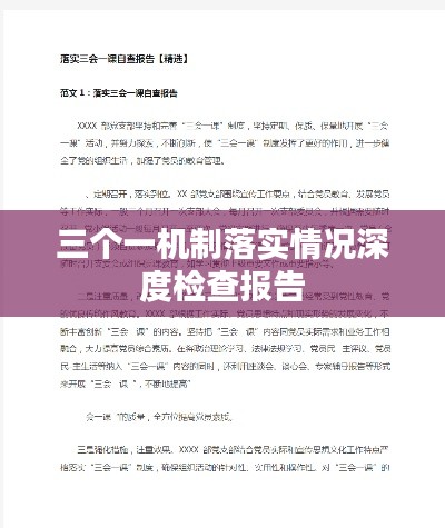 三个一机制落实情况深度检查报告