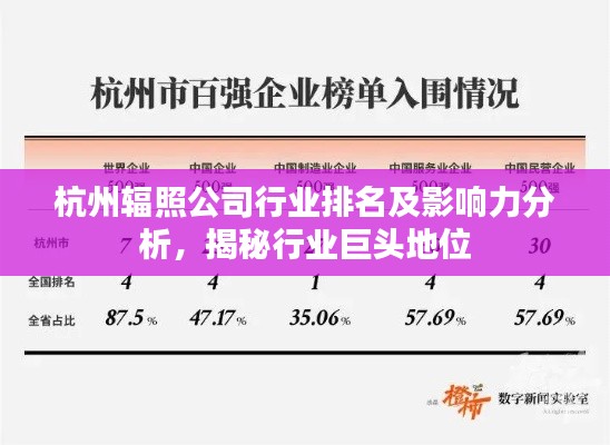 杭州辐照公司行业排名及影响力分析，揭秘行业巨头地位