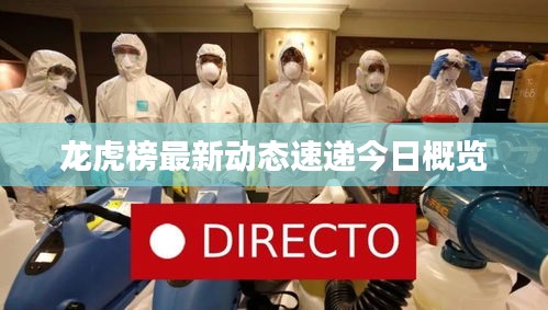 龙虎榜最新动态速递今日概览