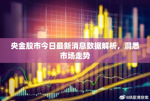 央金股市今日最新消息数据解析，洞悉市场走势