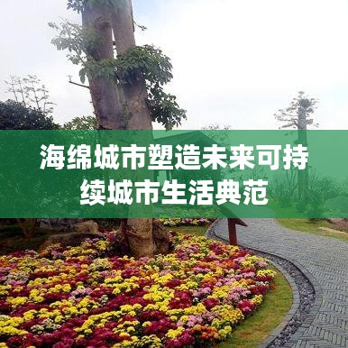 海绵城市塑造未来可持续城市生活典范