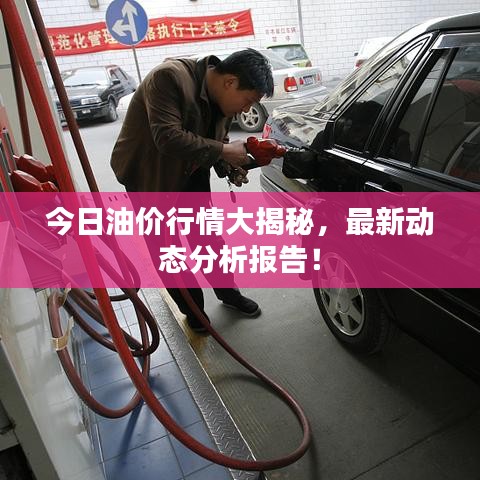 今日油价行情大揭秘，最新动态分析报告！