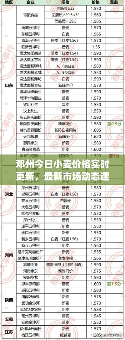邓州今日小麦价格实时更新，最新市场动态速览