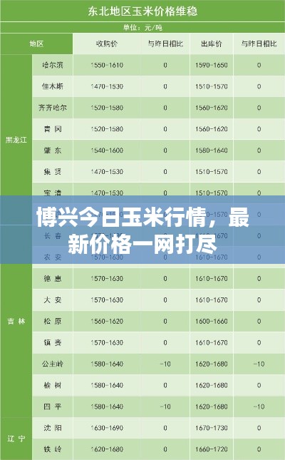 2025年5月27日 第5页
