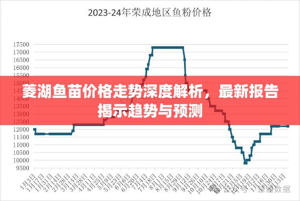 菱湖鱼苗价格走势深度解析，最新报告揭示趋势与预测