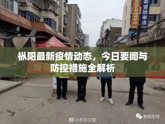 枞阳最新疫情动态，今日要闻与防控措施全解析