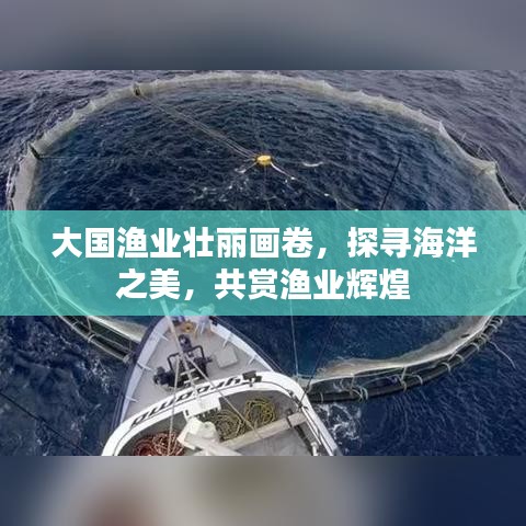 大国渔业壮丽画卷，探寻海洋之美，共赏渔业辉煌