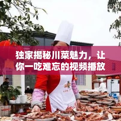 独家揭秘川菜魅力，让你一吃难忘的视频播放