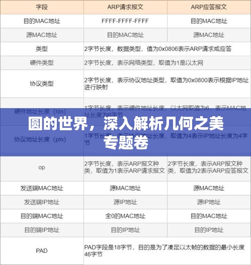 圆的世界，深入解析几何之美专题卷