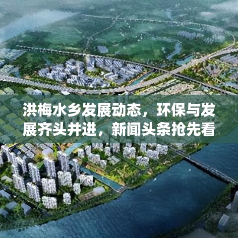 2025年5月29日 第3页