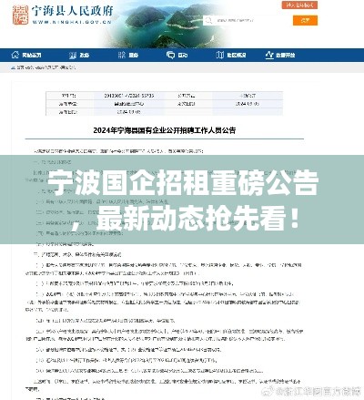 宁波国企招租重磅公告，最新动态抢先看！