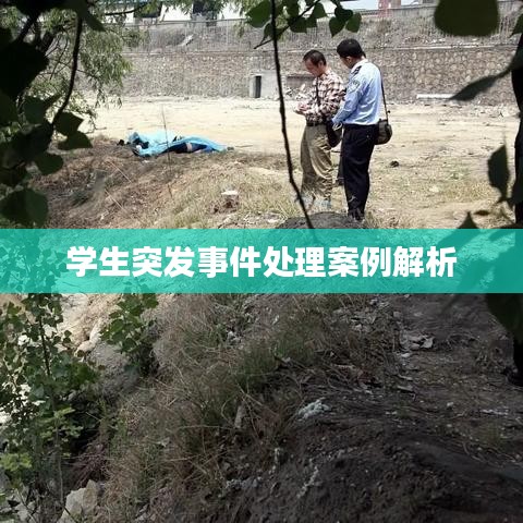 学生突发事件处理案例解析