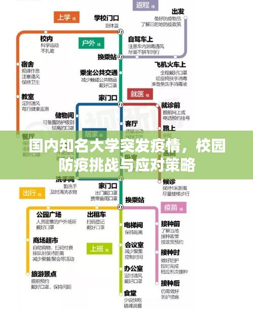 国内知名大学突发疫情，校园防疫挑战与应对策略