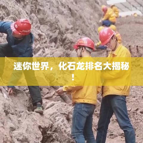 迷你世界，化石龙排名大揭秘！
