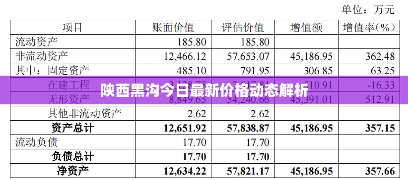 陕西黑沟今日最新价格动态解析