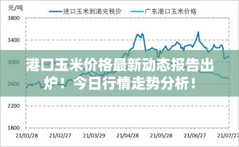 港口玉米价格最新动态报告出炉！今日行情走势分析！