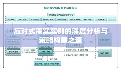 应对式落实实例的深度分析与策略构建之道
