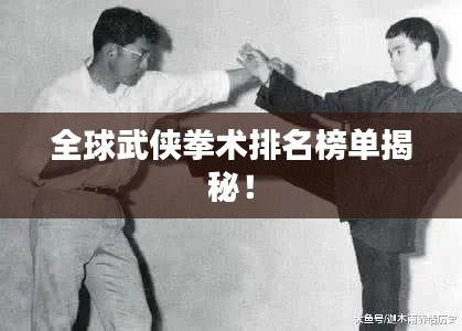 全球武侠拳术排名榜单揭秘！