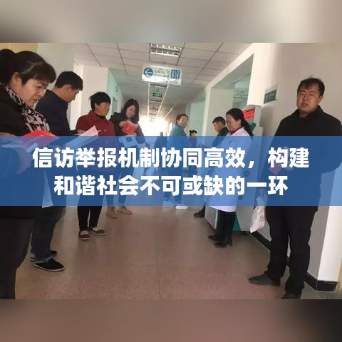 信访举报机制协同高效，构建和谐社会不可或缺的一环