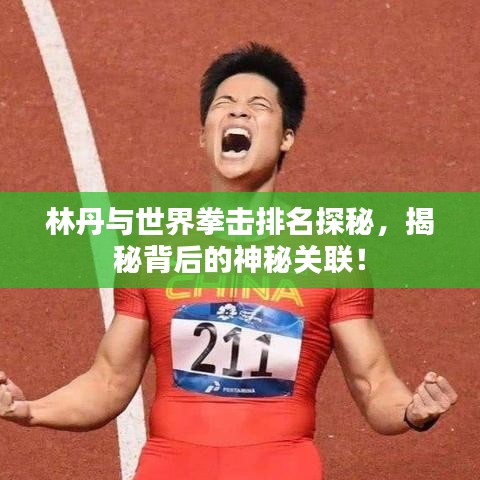 林丹与世界拳击排名探秘，揭秘背后的神秘关联！