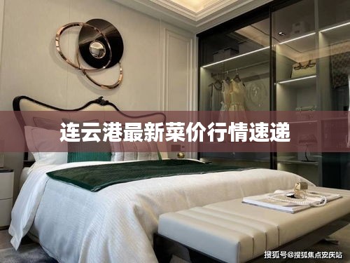 连云港最新菜价行情速递