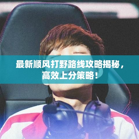 最新顺风打野路线攻略揭秘，高效上分策略！