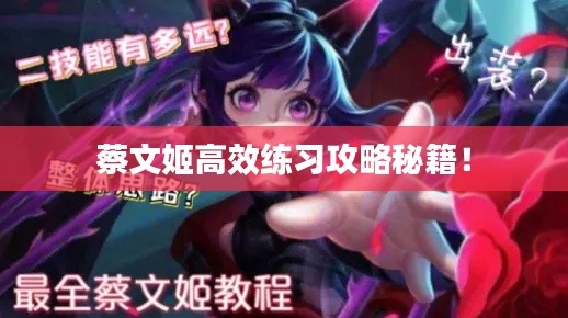 蔡文姬高效练习攻略秘籍！