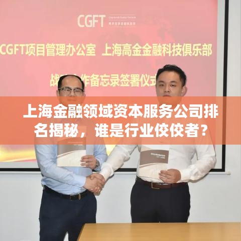 上海金融领域资本服务公司排名揭秘，谁是行业佼佼者？