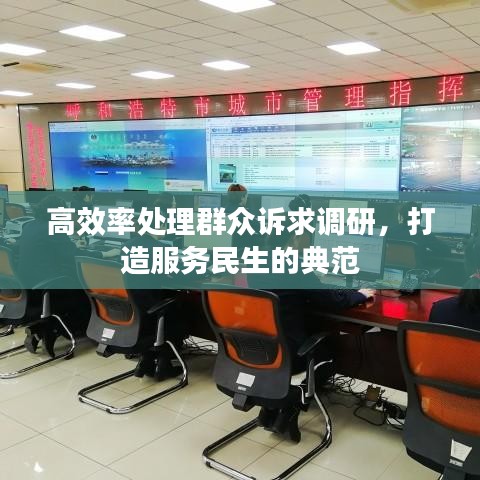 高效率处理群众诉求调研，打造服务民生的典范