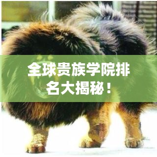 全球贵族学院排名大揭秘！