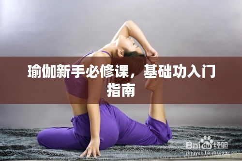 瑜伽新手必修课，基础功入门指南