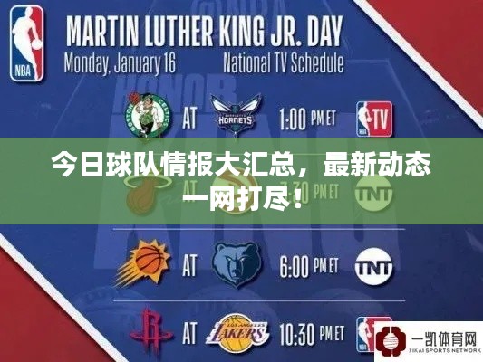 展翅高飞
