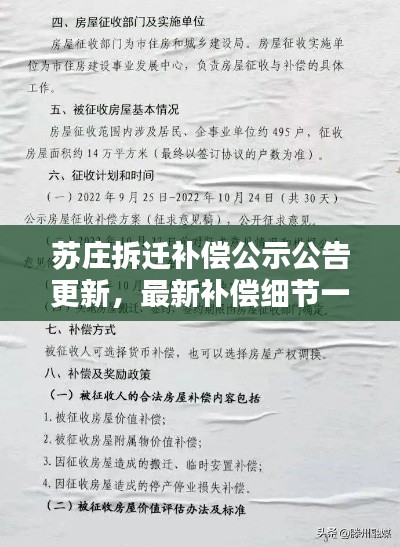 望其项背