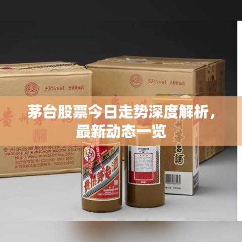 降尊纡贵