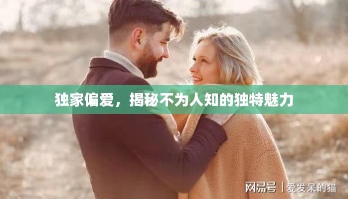 张王李赵