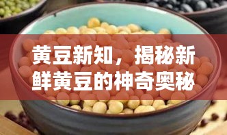 黄豆新知，揭秘新鲜黄豆的神奇奥秘