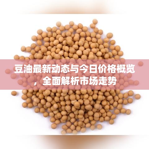 豆油最新动态与今日价格概览，全面解析市场走势